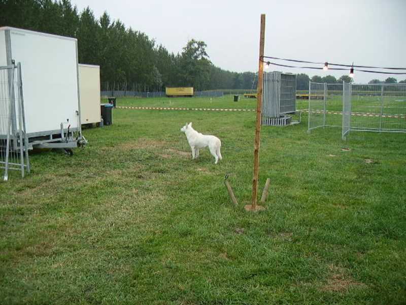 ../Images/Tohrn western event 066.jpg